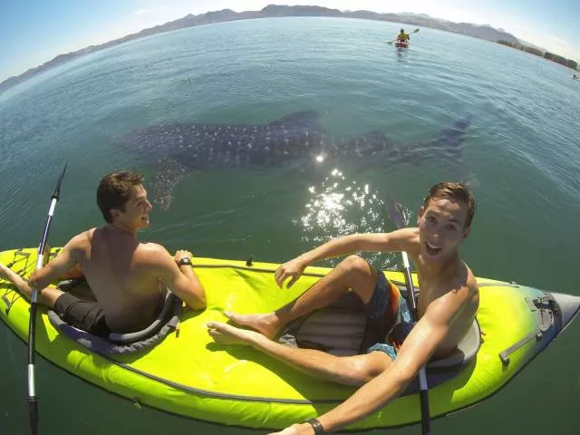 Picdump 40 - #56 