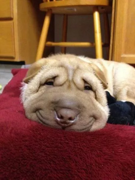 Picdump 40 - #62 