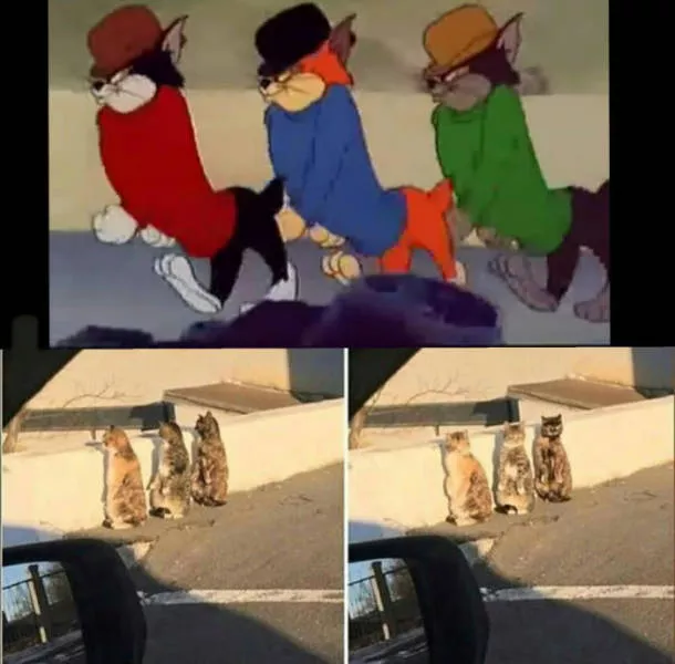 Picdump 40 - #65 