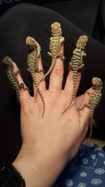 Picdump 40 - #82 