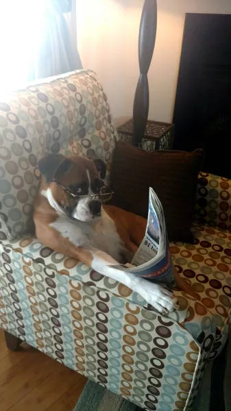 Picdump 40 - #84 