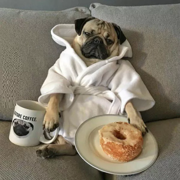 Picdump 40 - #93 