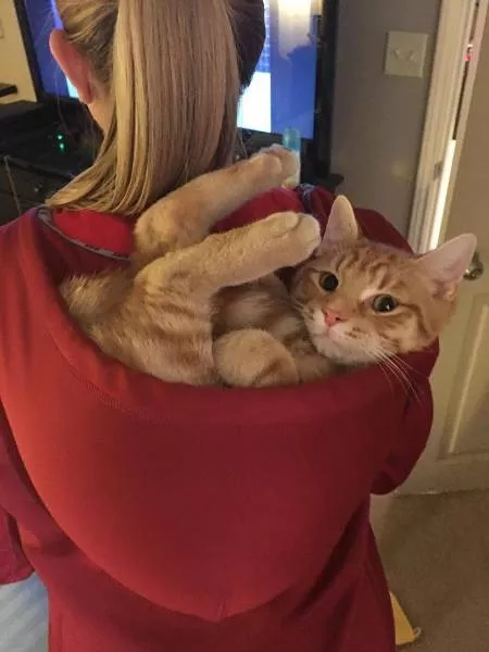 Picdump 40 - #96 