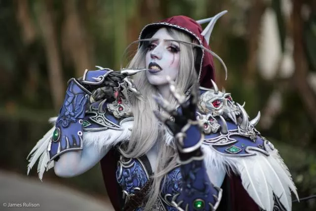 Top cosplayers from the blizzcon event - #45 