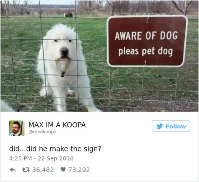 Les meilleurs tweets droles sur les chiens - #13 