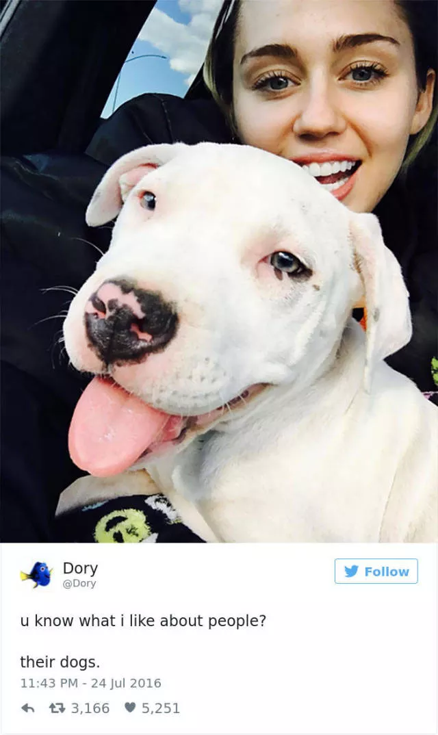 The funniest tweets about dogs - #20 