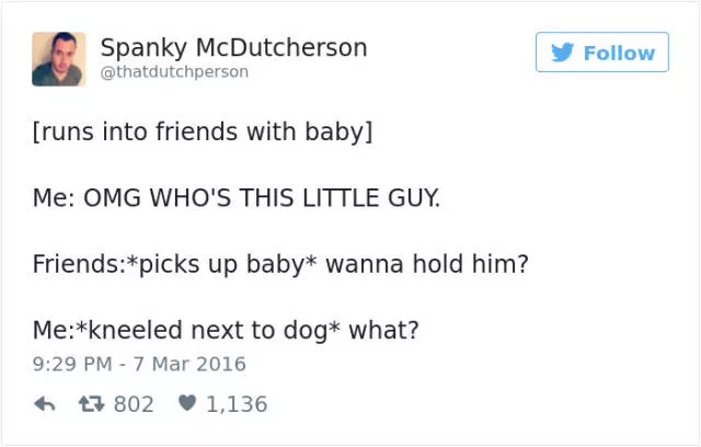 Les meilleurs tweets droles sur les chiens - #31 