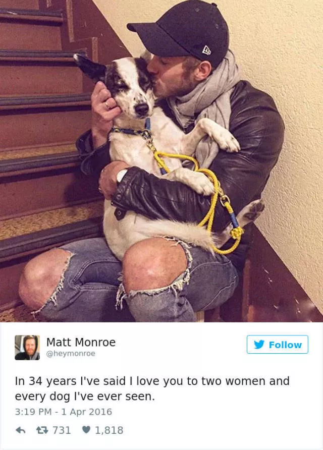 The funniest tweets about dogs - #32 The funniest tweets about dogs - #32