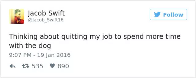 Les meilleurs tweets droles sur les chiens - #37 