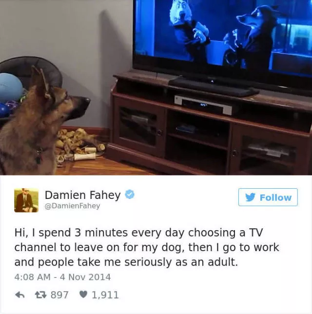 Les meilleurs tweets droles sur les chiens - #40 