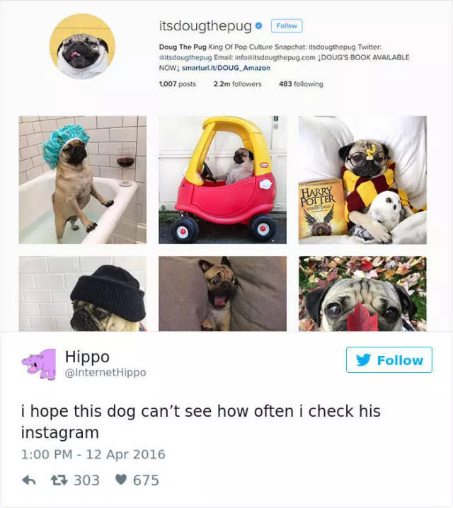 Les meilleurs tweets droles sur les chiens - #42 