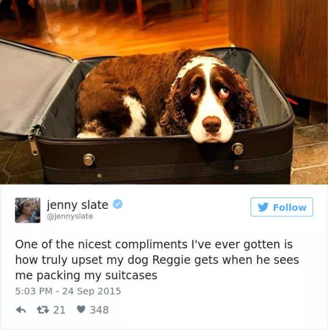 Les meilleurs tweets droles sur les chiens - #43 