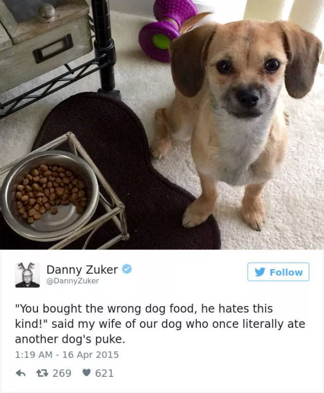 Les meilleurs tweets droles sur les chiens - #50 