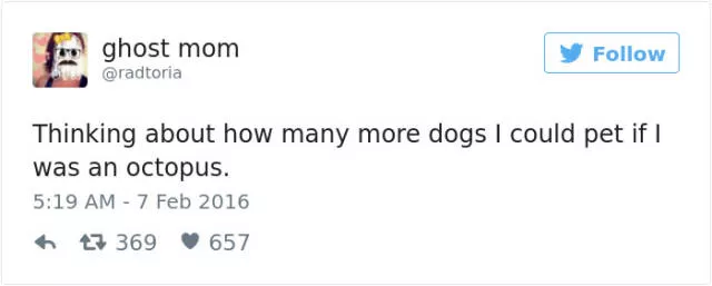 Les meilleurs tweets droles sur les chiens - #54 