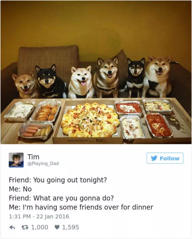 The funniest tweets about dogs - #6 