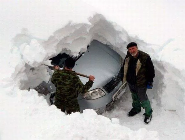 Picdump 135 - #11 