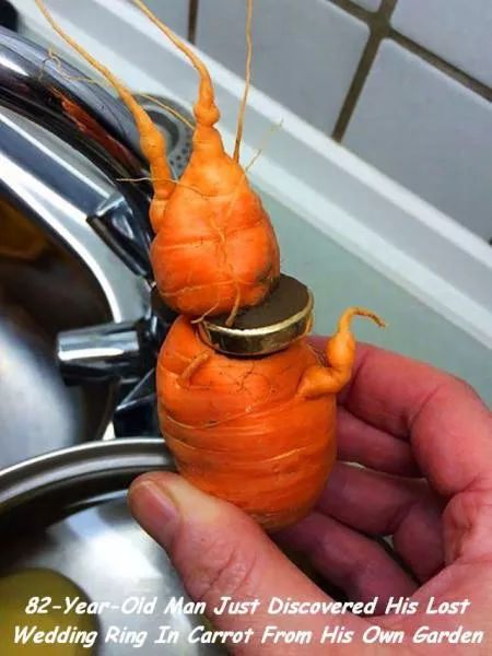 Picdump 135 - #2 