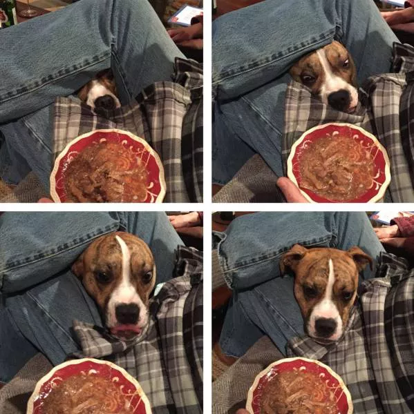 Picdump 135 - #24 