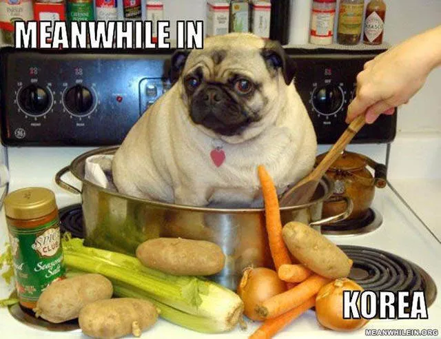 What happens in different countries - #17 