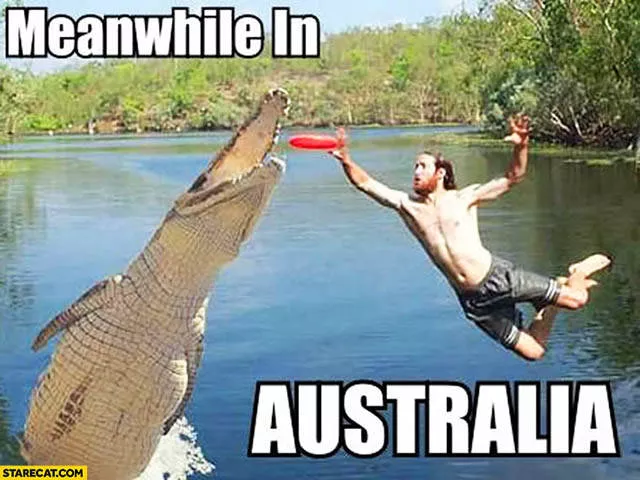 What happens in different countries - #23 