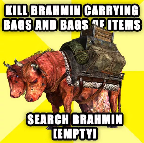 For geeks and gamers only - #36 