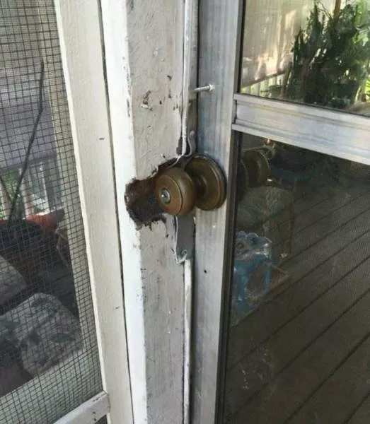Les pires fails de construction monumentaux - #12 