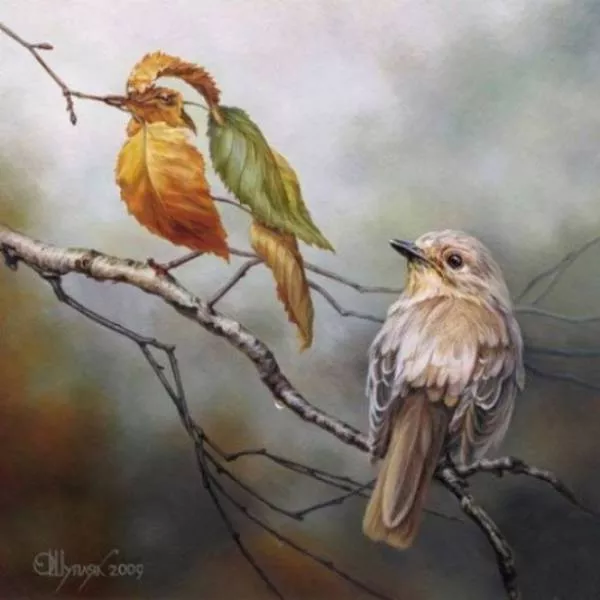 Optical illusion paintings