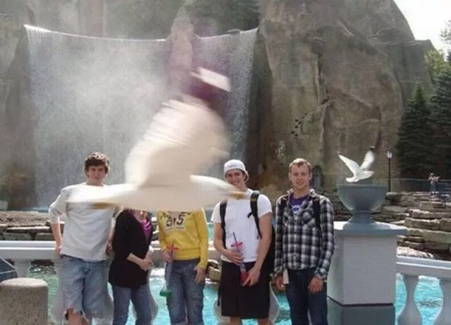 Picdump 41 - #115 