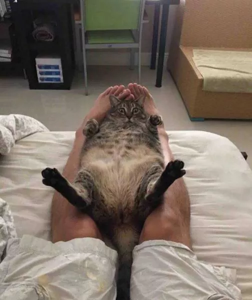 Picdump 41 - #20 