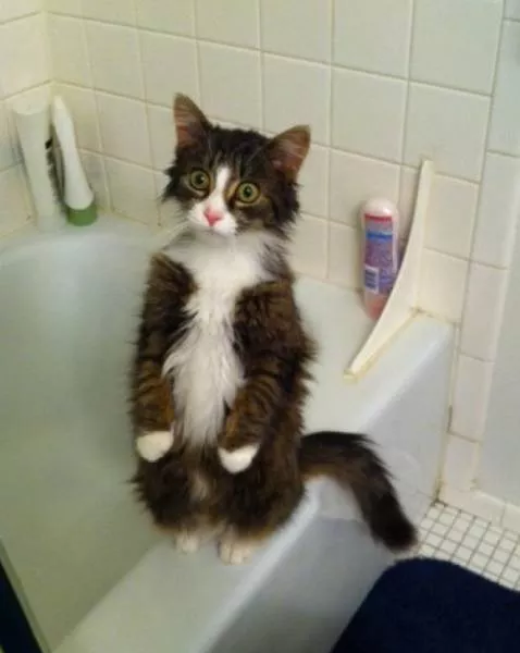 Picdump 41 - #35 