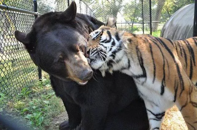 Picdump 41 - #50 