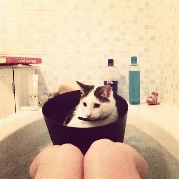 Picdump 41 - #78 