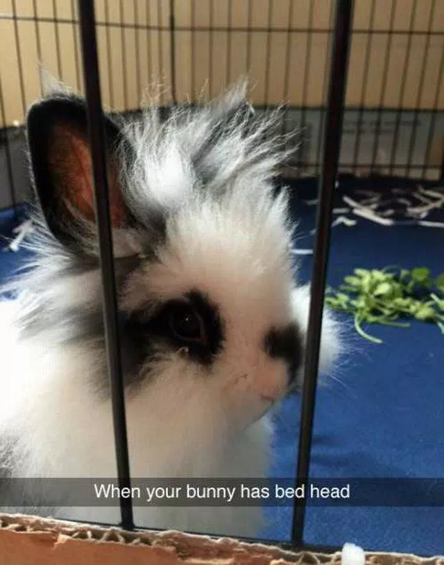 Picdump 41 - #80 