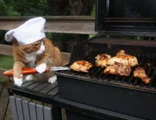 Picdump 41 - #97 Picdump 41 - #97