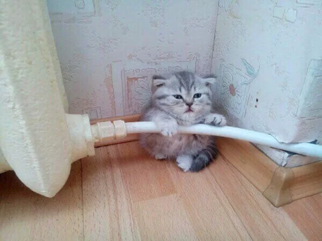 Picdump 136 - #10 
