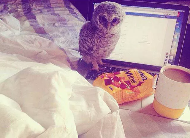 Picdump 136 - #17 