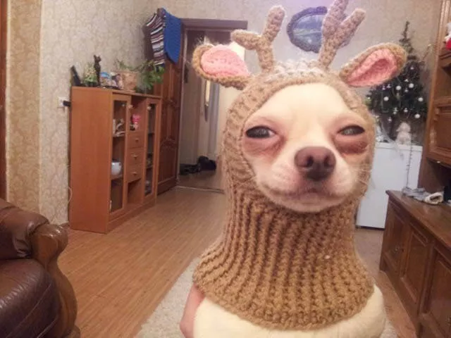 Picdump 136 - #18 