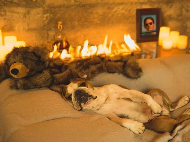 Picdump 136 - #28 