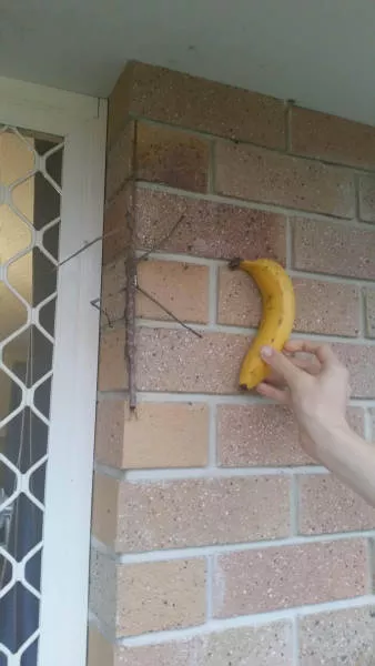 Picdump 136 - #44 