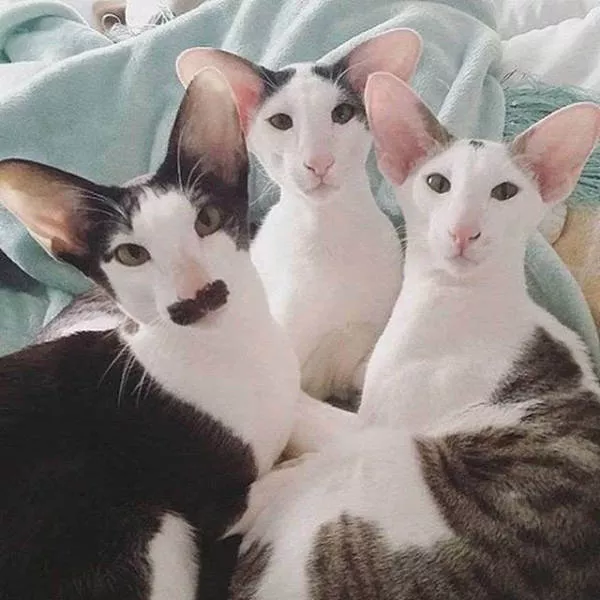 We do not take these pictures every day - #17 
