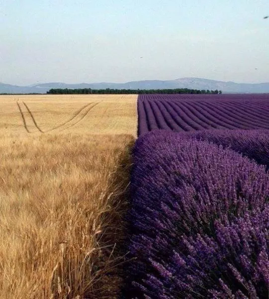 On prend pas ces images tous les jours - #20 
