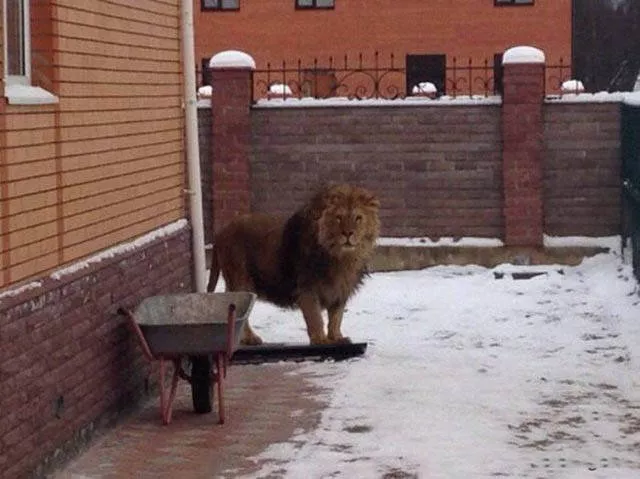 Russia a world like no other