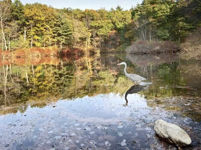 Les plus beaux endroits aux etats unis - #21 