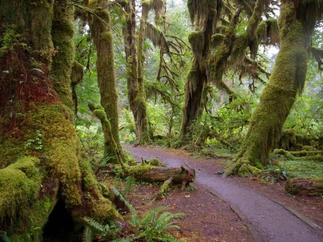 Les plus beaux endroits aux etats unis - #47 