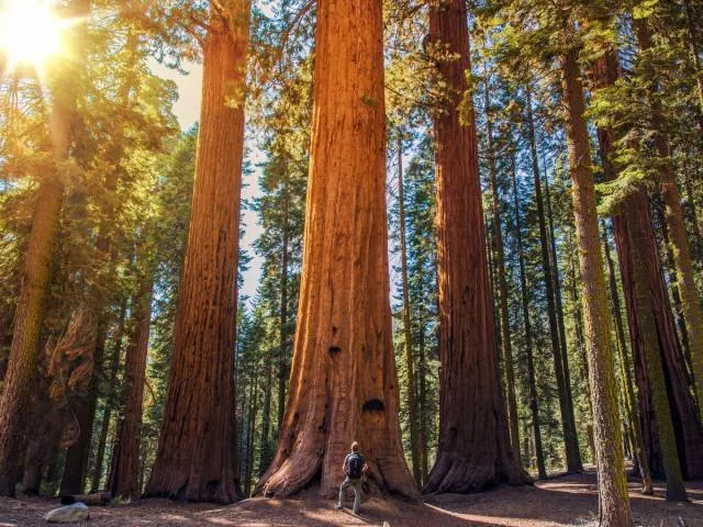 Les plus beaux endroits aux etats unis - #5 