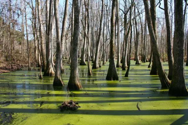 The most beautiful places in the united states - #8 