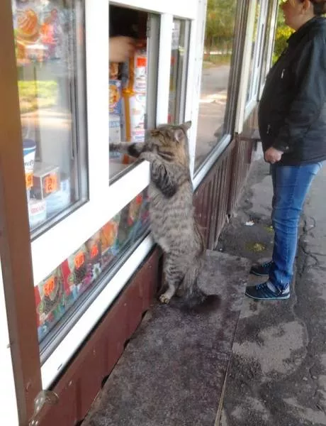 Picdump 238 - #15 