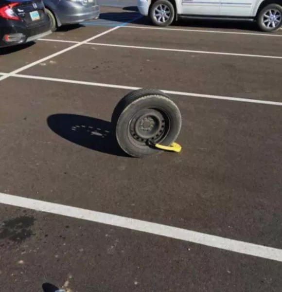 Picdump 238 - #26 