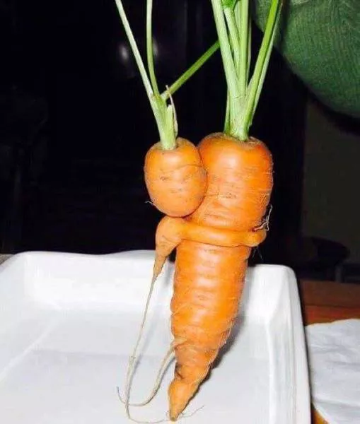 Picdump 238 - #33 