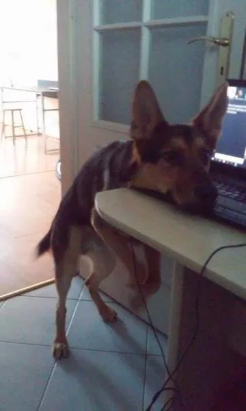 Picdump 238 - #9 
